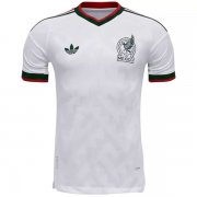 2026 Mexico Away World Cup Jersey (Player Version)