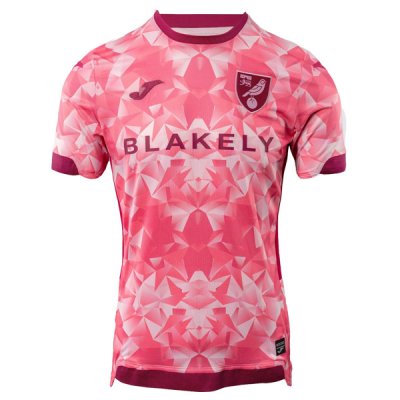 25-26 Norwich City Third Jersey