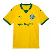 25-26 Palmeiras Third Jersey