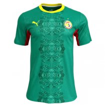 2026 Senegal Away World Cup Jersey (Player Version)